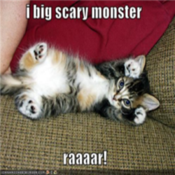 scary kitty